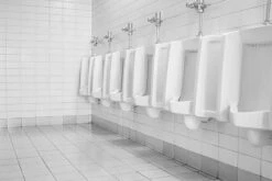 BiOHY WC-Reiniger (480x1l Flasche) | EXTRA STARK | Profi Bio Konzentrat | Dickflüssiges Reinigungs-Gel | Ideal Gegen Urinstein -Haushaltspower Deutschland Verkaufs-Shop 1f58c2e3 044b 4d82 ab00 10604291813c