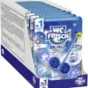 WC FRISCH Kraft Aktiv Blauspüler Chlor 10x50g WC Reiniger Toilettenreiniger