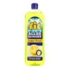 Fit Allesreiniger Lemon Power 1 L Allzweckreiniger